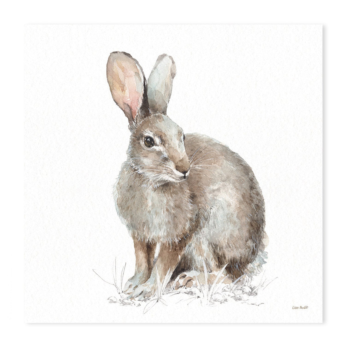 wall-art-print-canvas-poster-framed-Forest Friends, Style B & D, Set Of 2 , By Lisa Audit-GIOIA-WALL-ART
