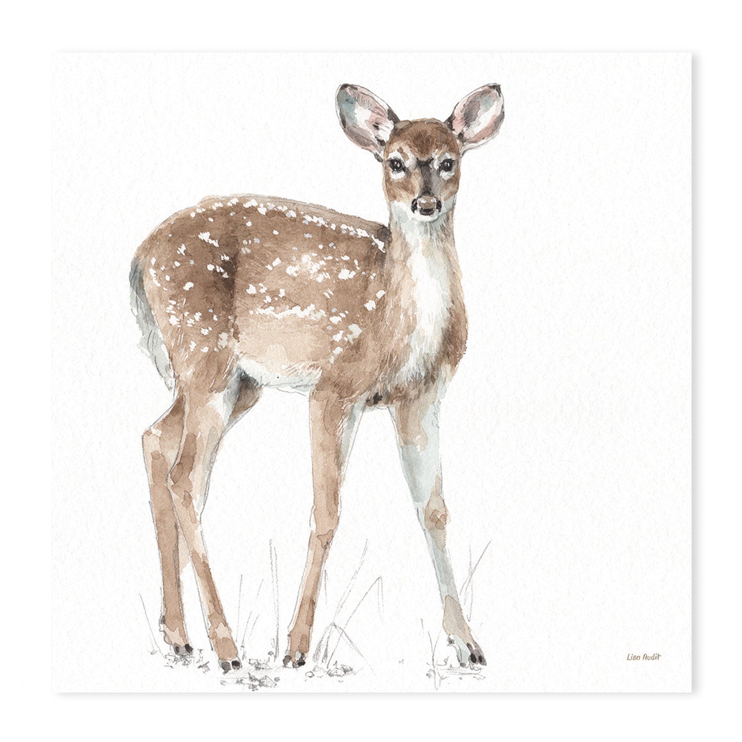 wall-art-print-canvas-poster-framed-Forest Friends, Style B & D, Set Of 2 , By Lisa Audit-GIOIA-WALL-ART