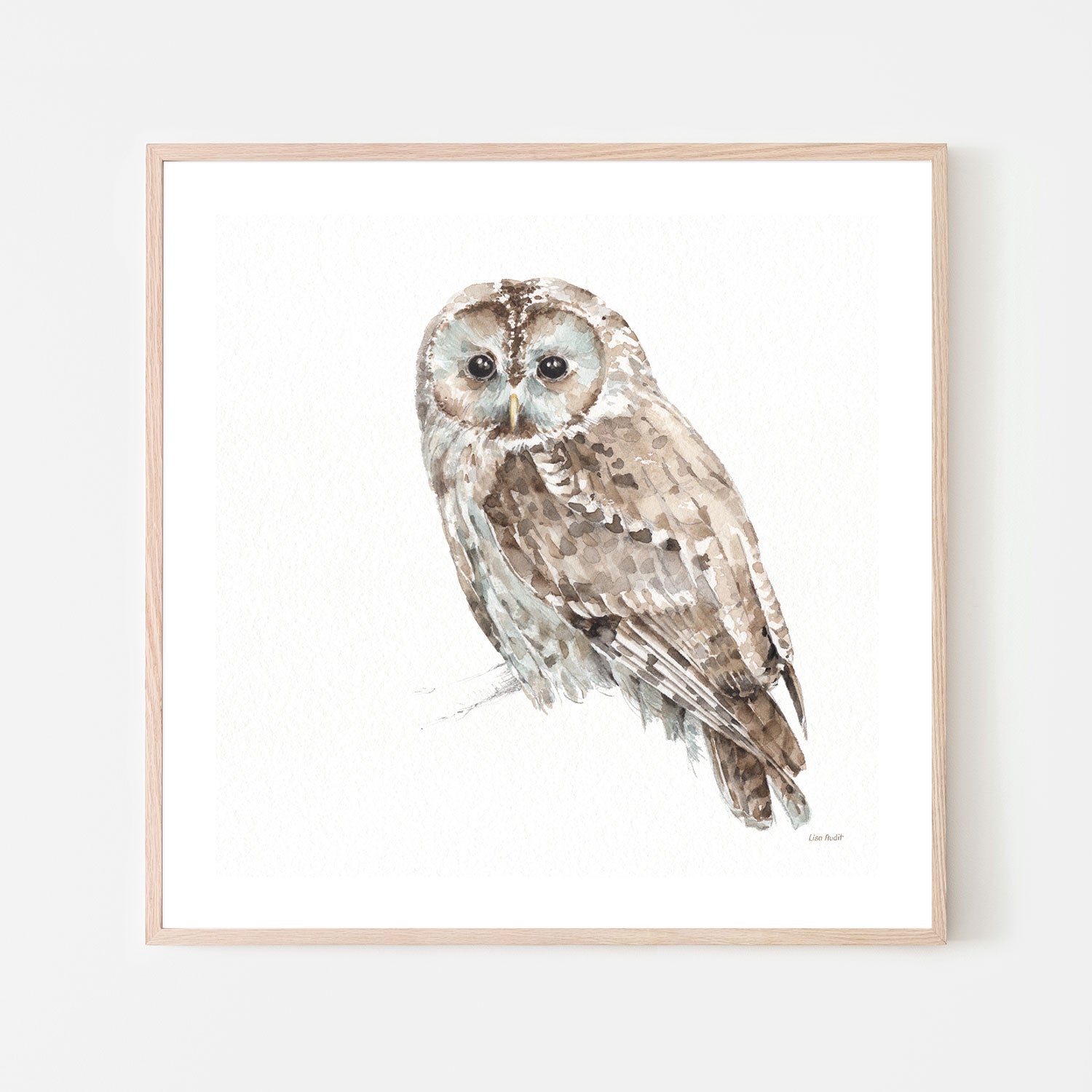 wall-art-print-canvas-poster-framed-Forest Friends, Style C , By Lisa Audit-GIOIA-WALL-ART