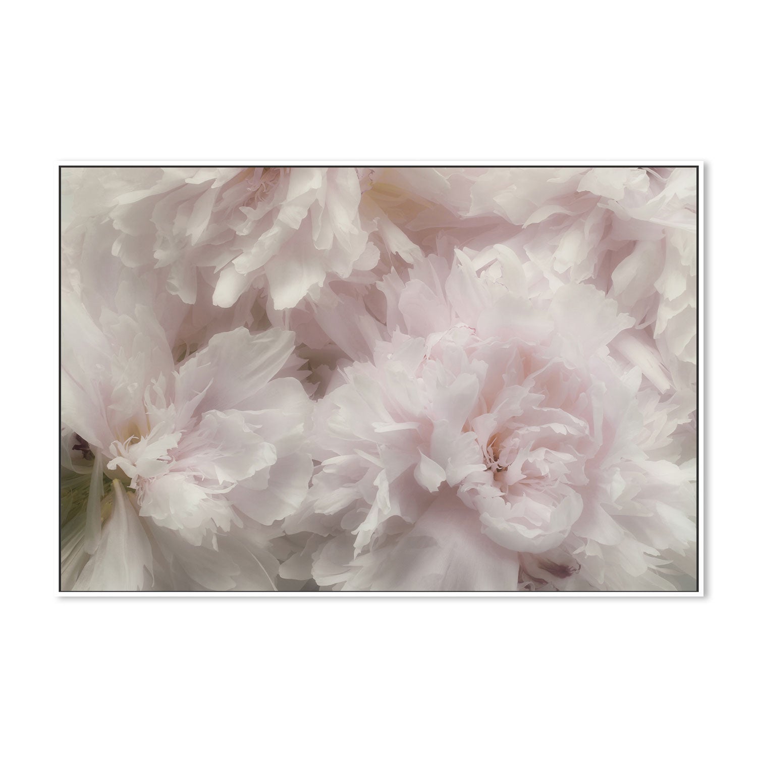 wall-art-print-canvas-poster-framed-Fragrant, by Heidi Westum-by-Plus X Studio-Gioia Wall Art