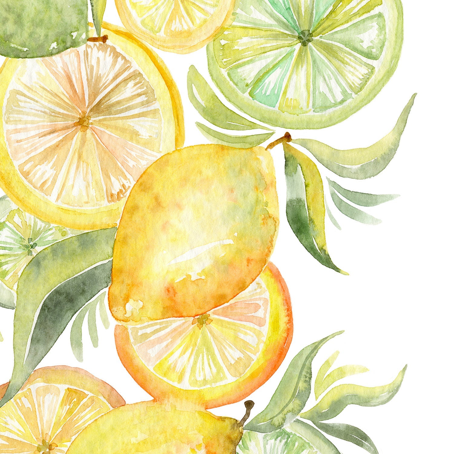 wall-art-print-canvas-poster-framed-Fruit collection - lemon & Limes-11