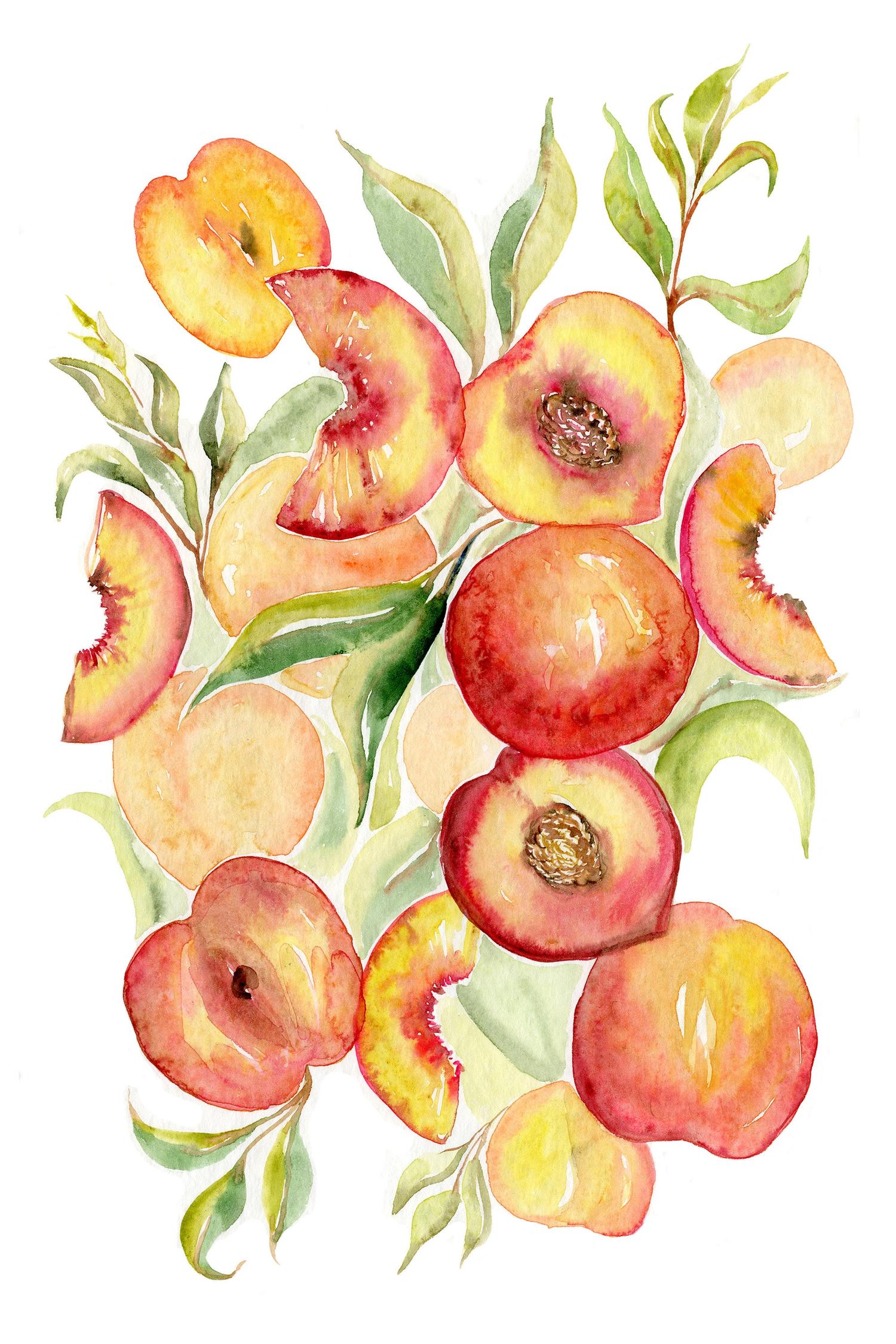wall-art-print-canvas-poster-framed-Fruit collection - Peaches-1