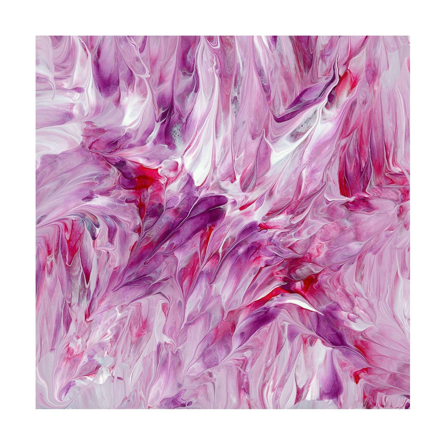 wall-art-print-canvas-poster-framed-Fuchsia , Style B, By Cathy Anderson , By Cathy Anderson-1
