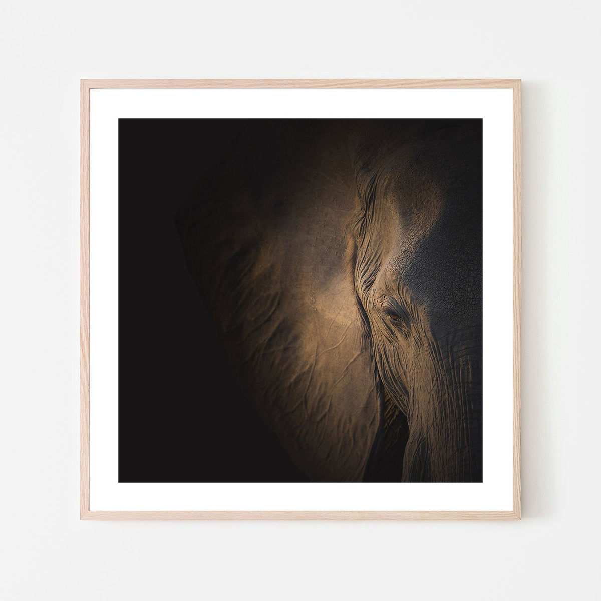 wall-art-print-canvas-poster-framed-Gently Giant, by Louise Wolbers-by-Plus X Studio-Gioia Wall Art