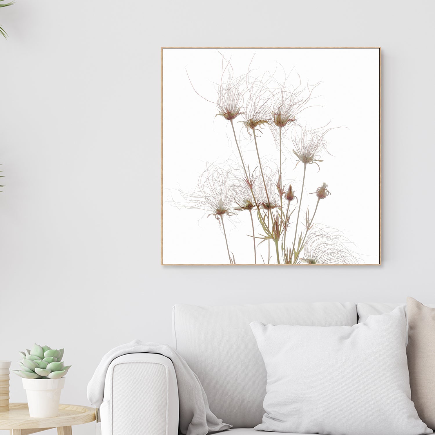 wall-art-print-canvas-poster-framed-Geum Seed Heads , By Asia Jensen-2