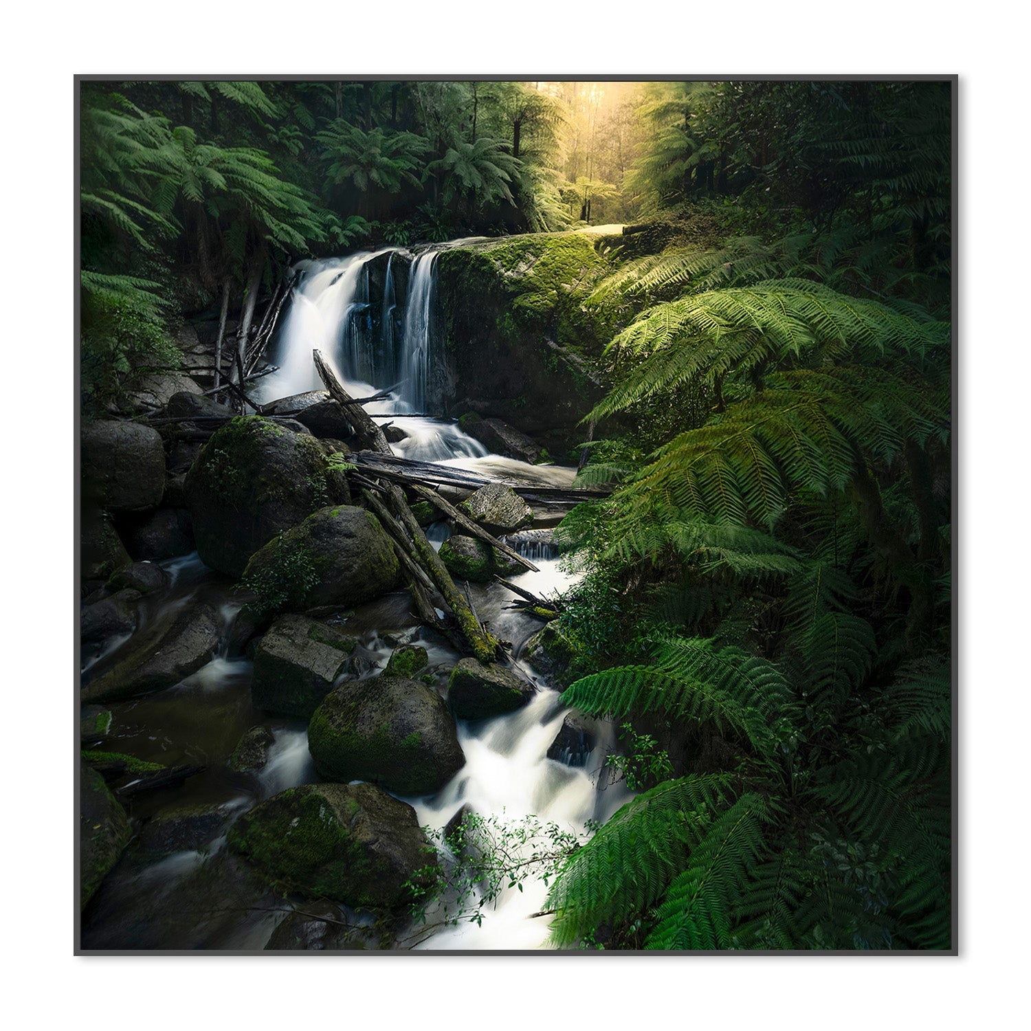 wall-art-print-canvas-poster-framed-Gippsland waterfalls (Melbourne)-3