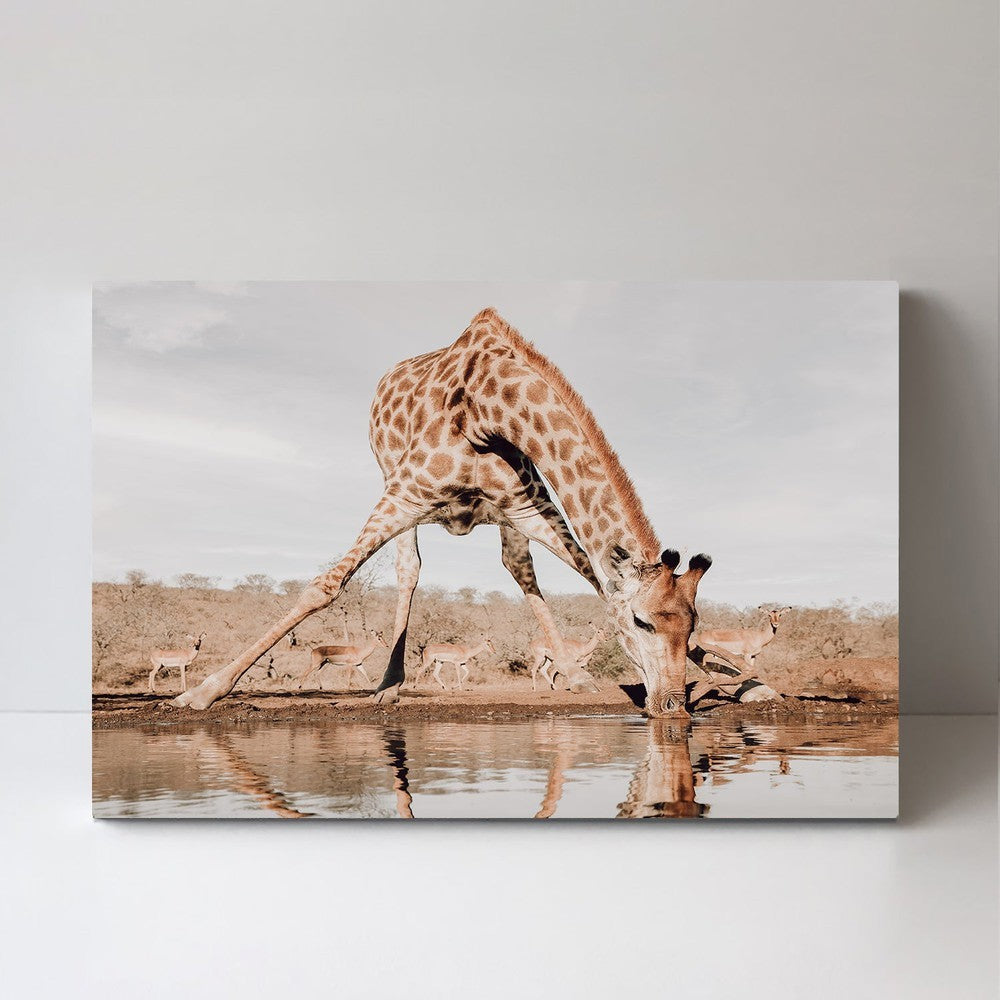 wall-art-print-canvas-poster-framed-Giraffe Having A Drink, By Linda D Lester-by-Plus X Studio-Gioia Wall Art