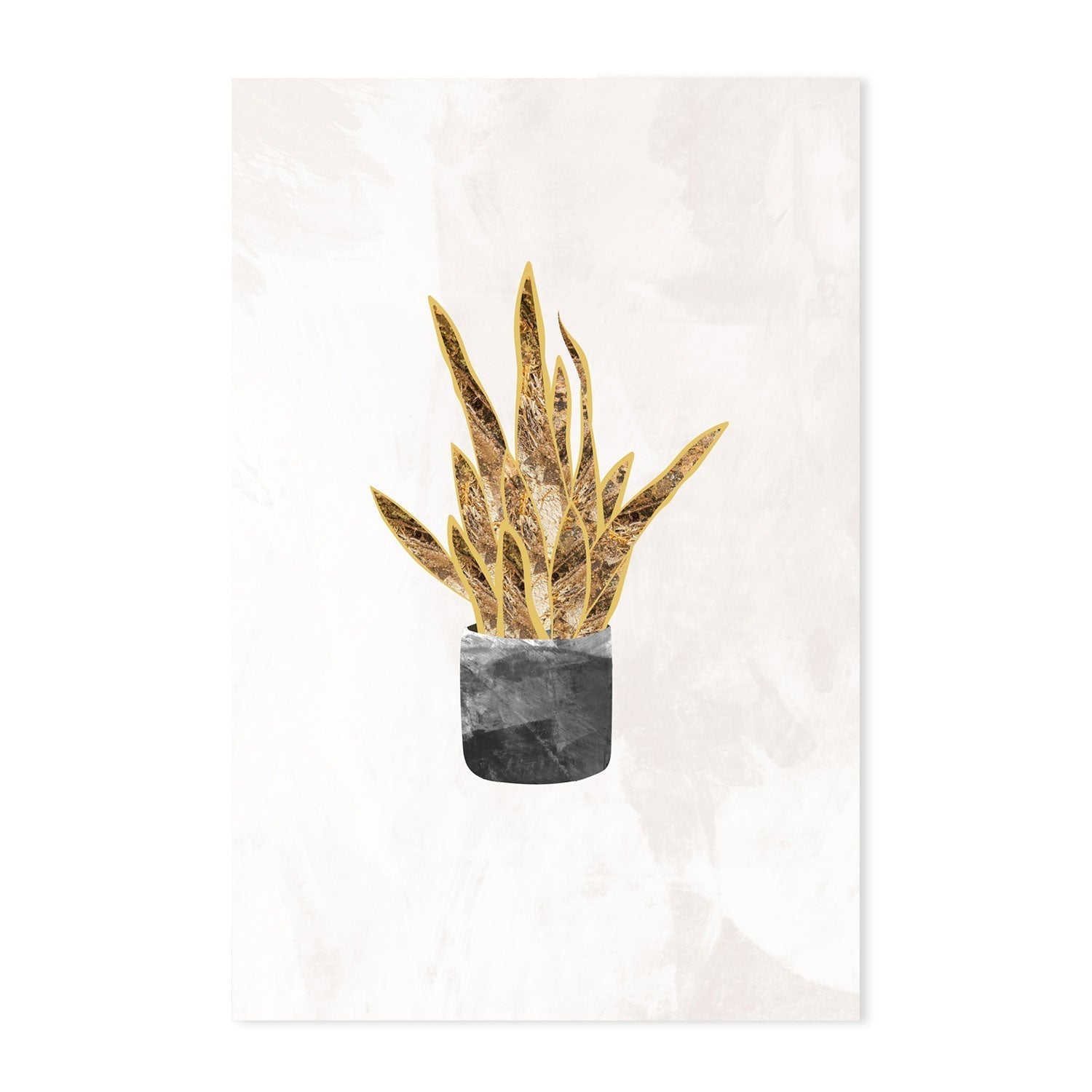 wall-art-print-canvas-poster-framed-Gold Snake Plant , By Sarah Manovski-GIOIA-WALL-ART