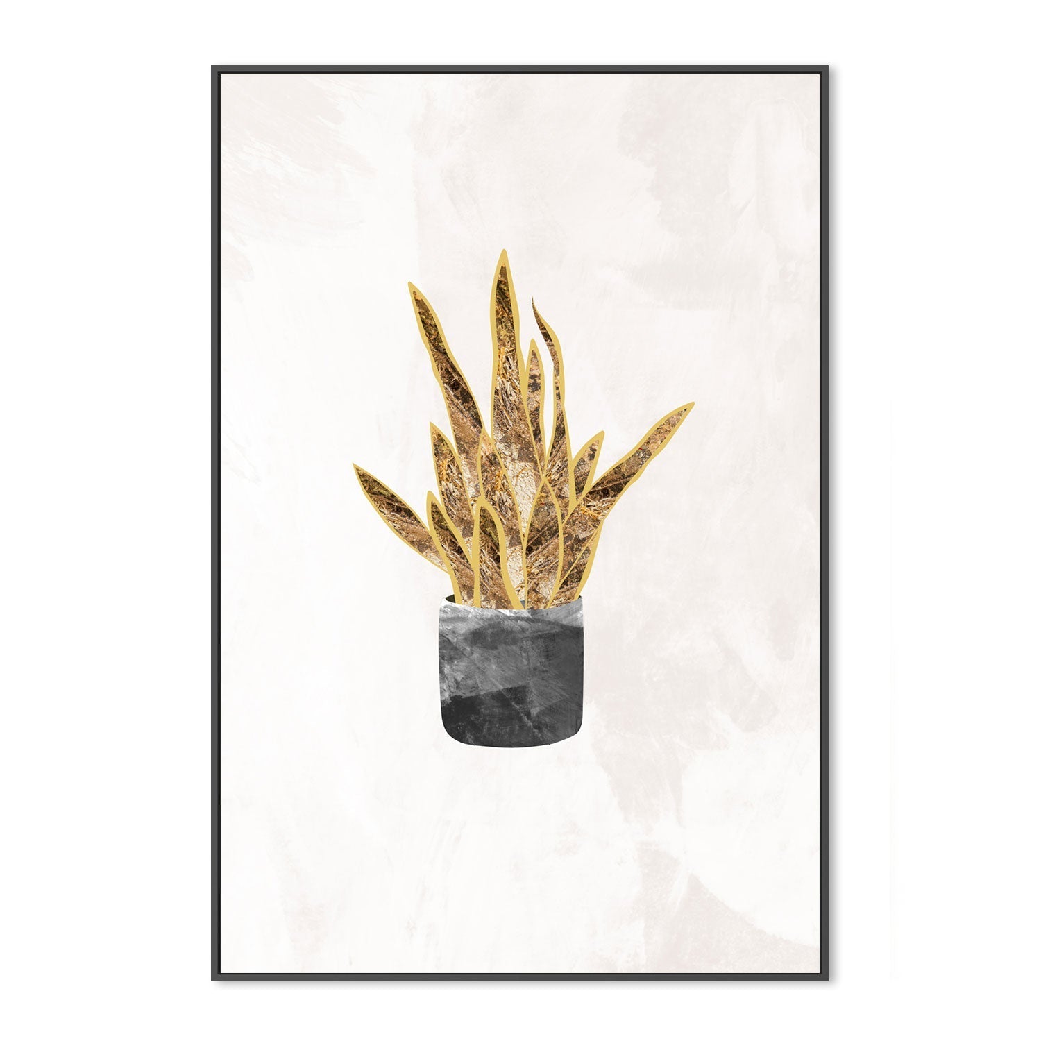wall-art-print-canvas-poster-framed-Gold Snake Plant , By Sarah Manovski-GIOIA-WALL-ART