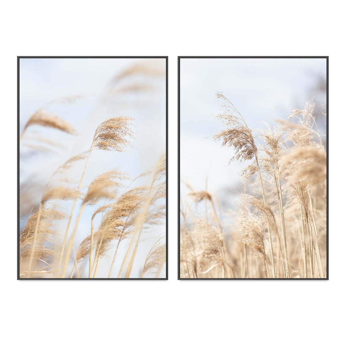 wall-art-print-canvas-poster-framed-Grass Reed And Sky, Set Of 2-by-Plus X Studio-Gioia Wall Art