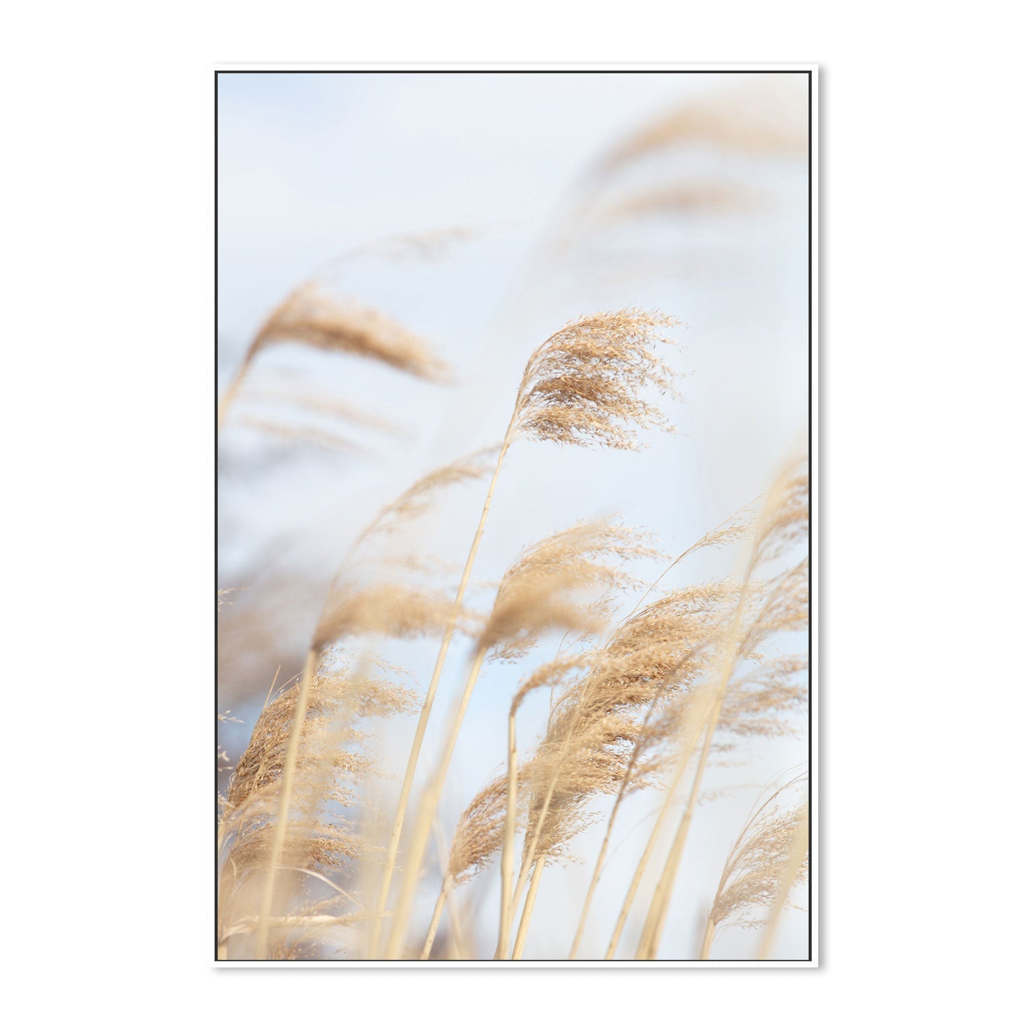 wall-art-print-canvas-poster-framed-Grass Reed And Sky, Style A-by-Plus X Studio-Gioia Wall Art