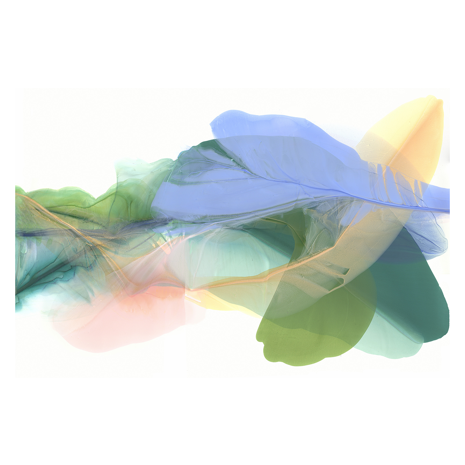 wall-art-print-canvas-poster-framed-Green Feathers-1