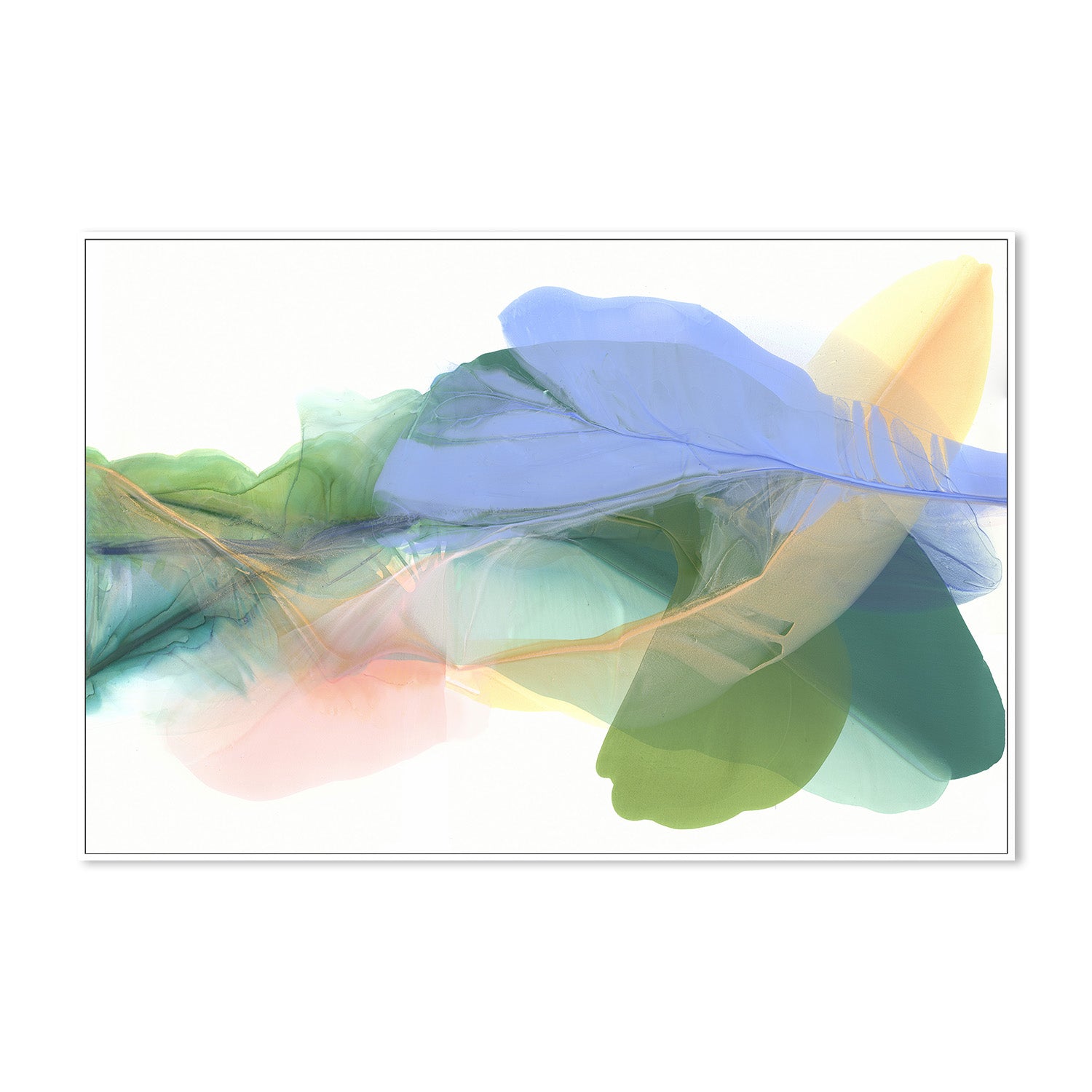 wall-art-print-canvas-poster-framed-Green Feathers-5