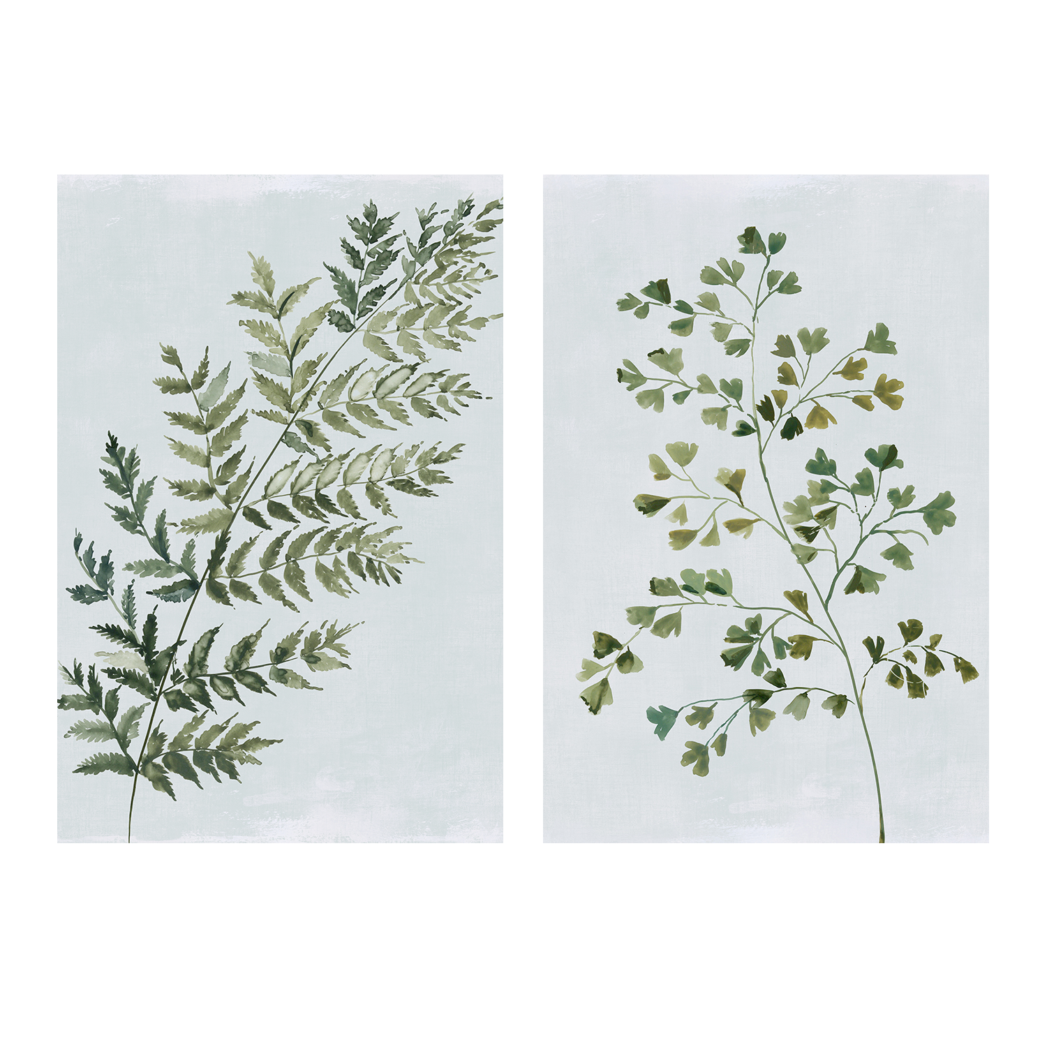wall-art-print-canvas-poster-framed-Green Fern, Style A & B, Set Of 2 , By Asia Jensen-1