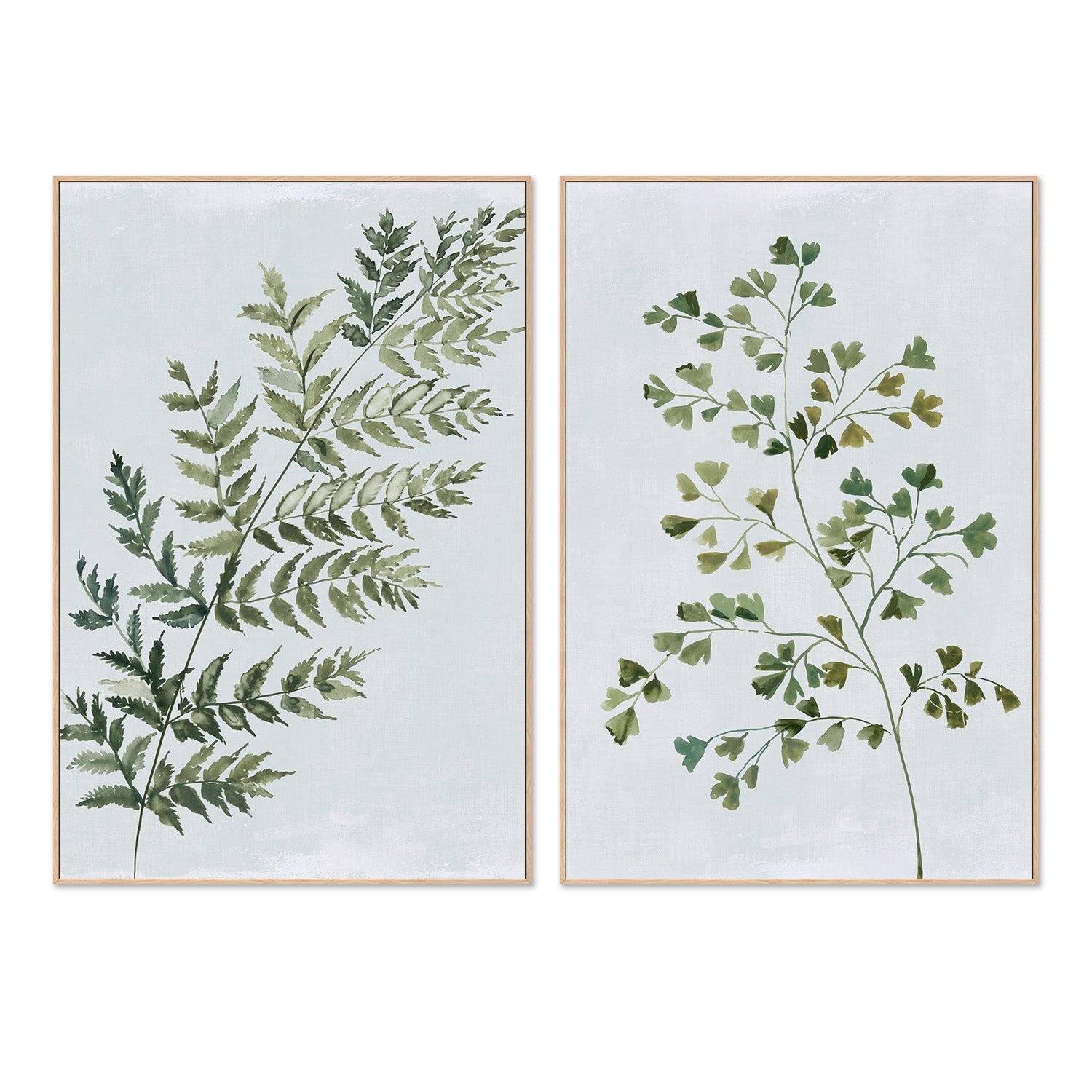wall-art-print-canvas-poster-framed-Green Fern, Style A & B, Set Of 2 , By Asia Jensen-3