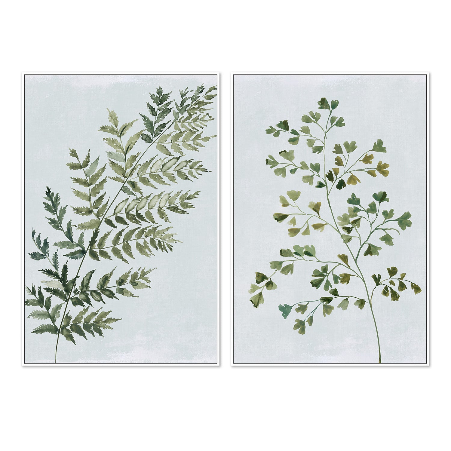 wall-art-print-canvas-poster-framed-Green Fern, Style A & B, Set Of 2 , By Asia Jensen-4