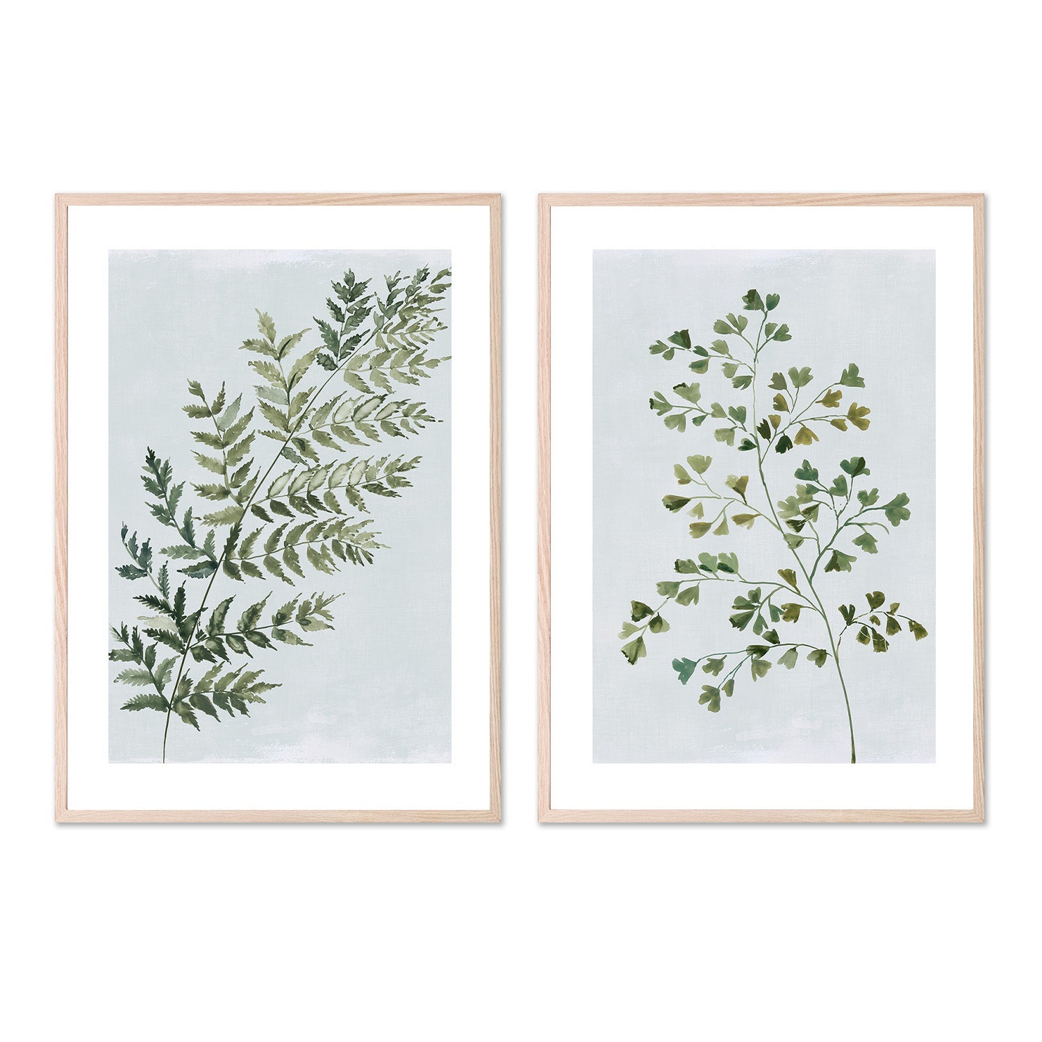 wall-art-print-canvas-poster-framed-Green Fern, Style A & B, Set Of 2 , By Asia Jensen-5