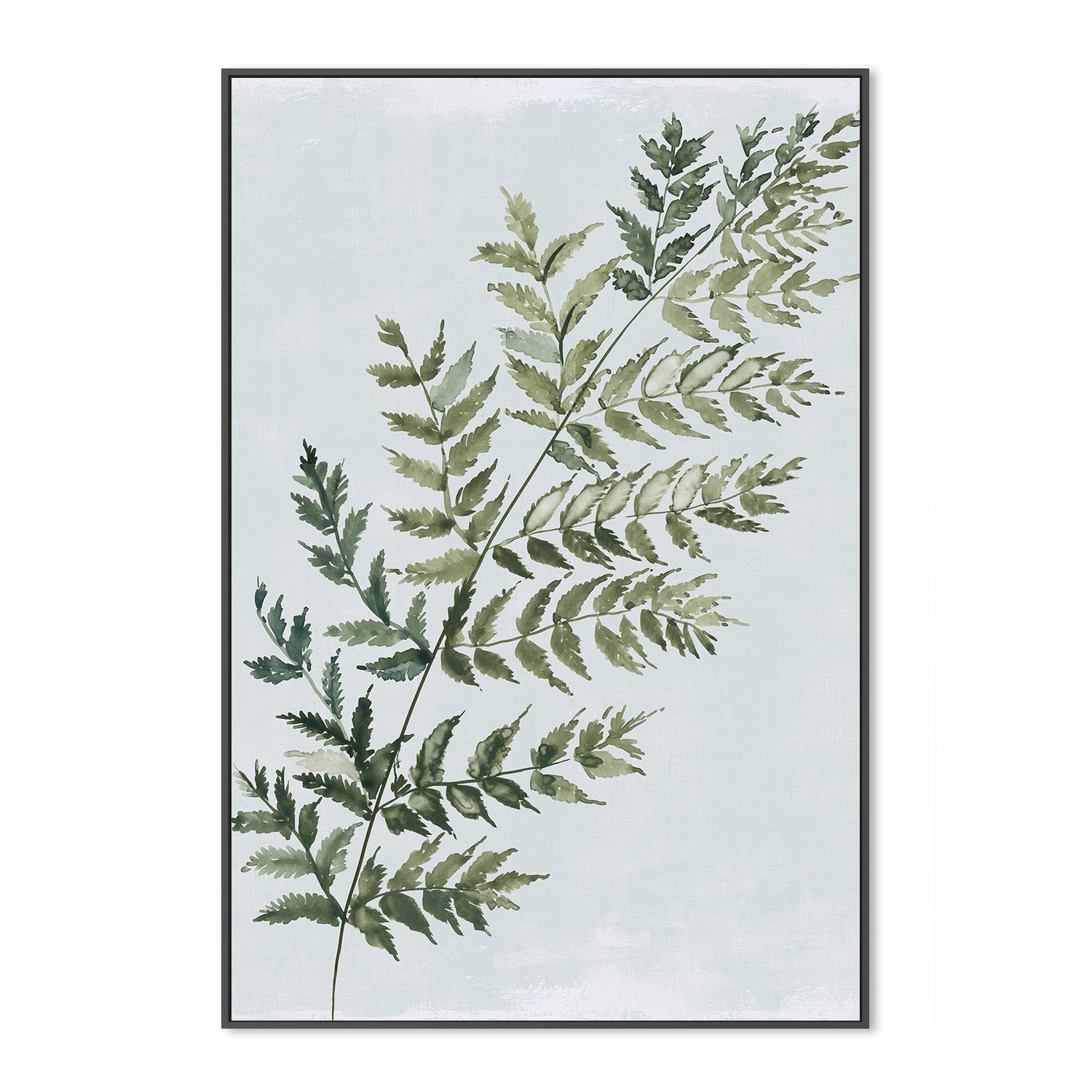 wall-art-print-canvas-poster-framed-Green Fern, Style A , By Asia Jensen-3