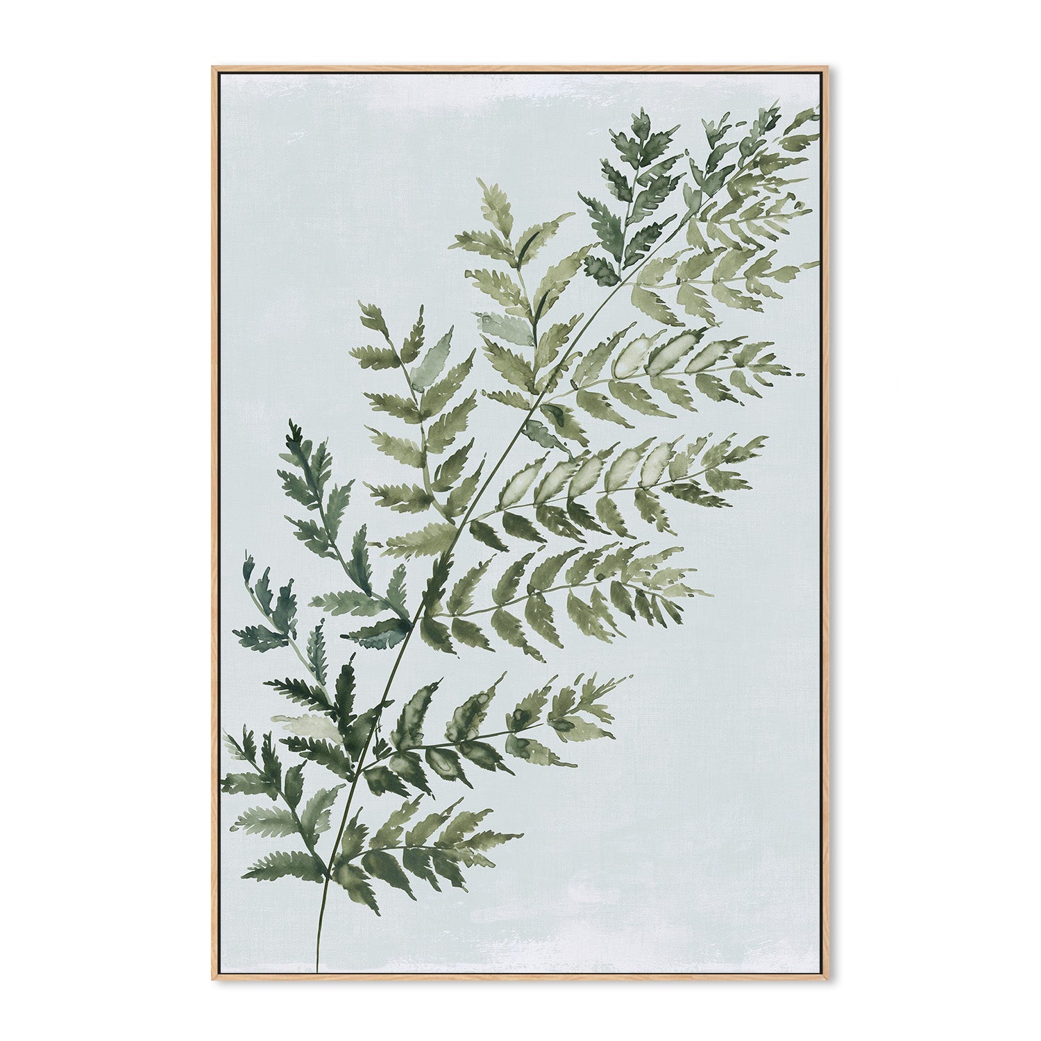 wall-art-print-canvas-poster-framed-Green Fern, Style A , By Asia Jensen-4