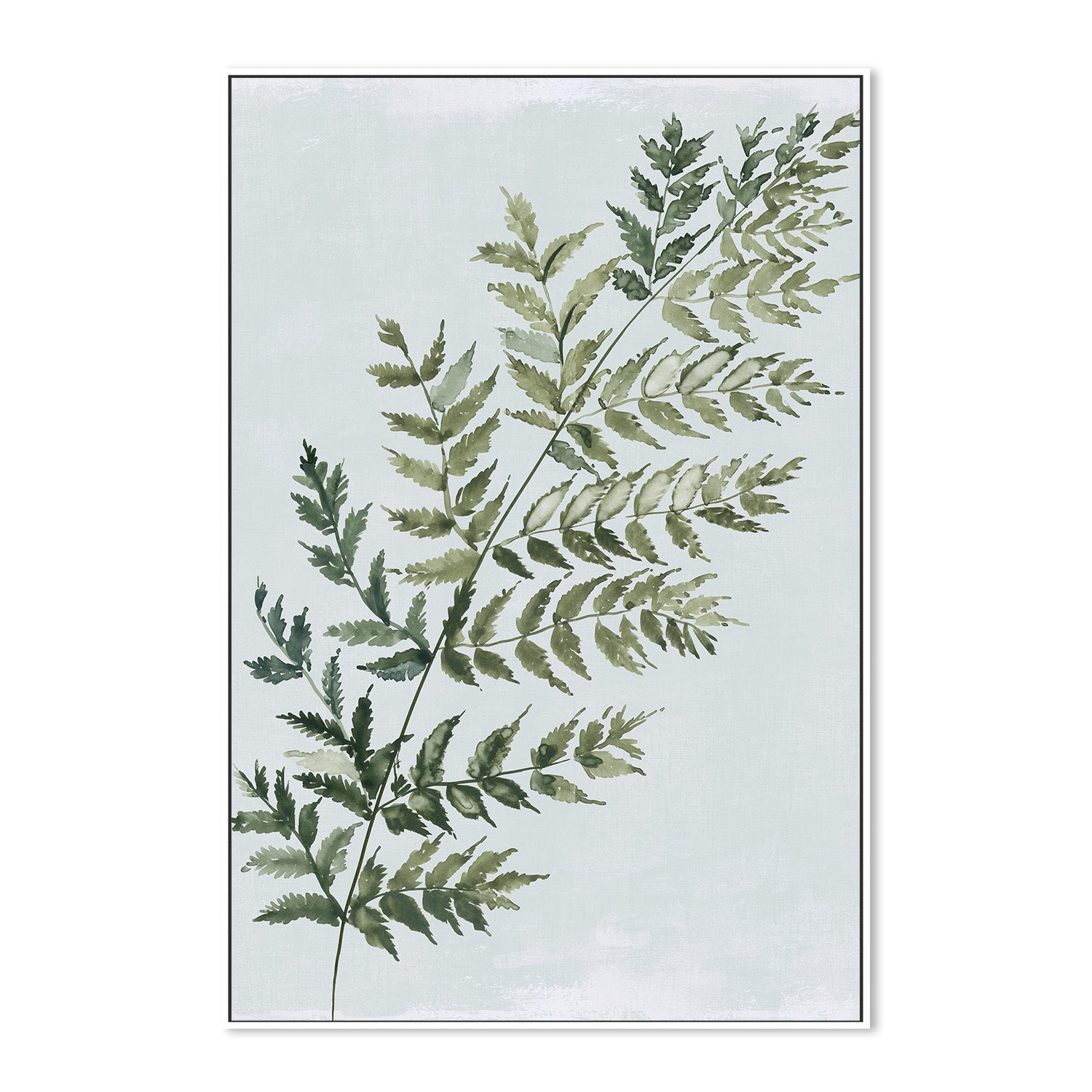 wall-art-print-canvas-poster-framed-Green Fern, Style A , By Asia Jensen-5