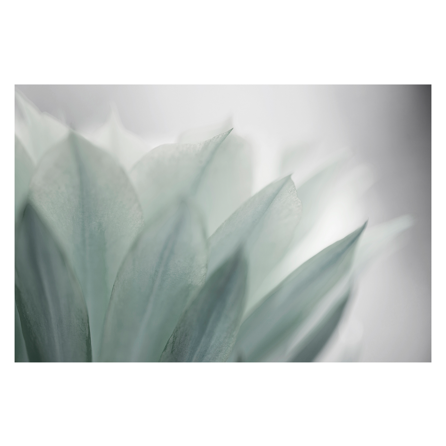 wall-art-print-canvas-poster-framed-Green Leaves Blooming , By Lily Mourier-1