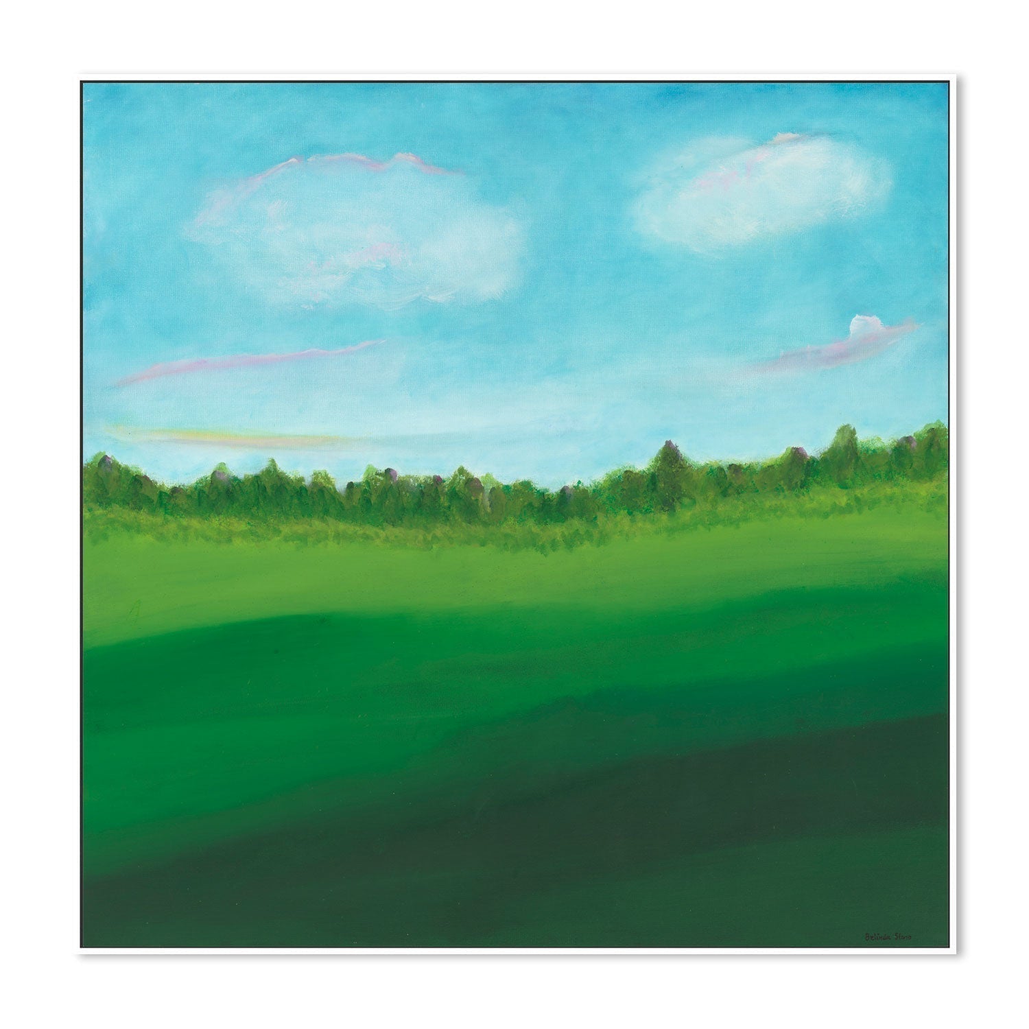wall-art-print-canvas-poster-framed-Green Oasis , By Belinda Stone-GIOIA-WALL-ART
