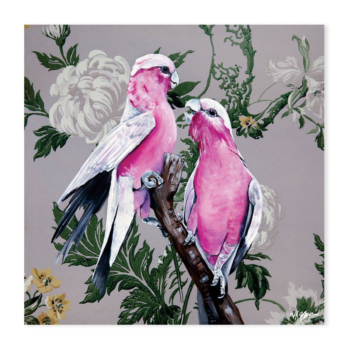 Grey Wallpaper Gallah