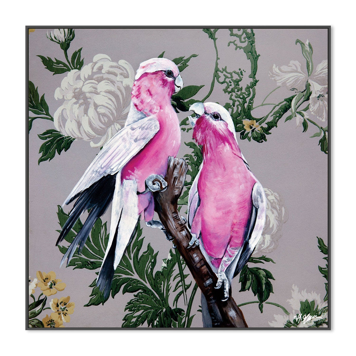 Grey Wallpaper Gallah