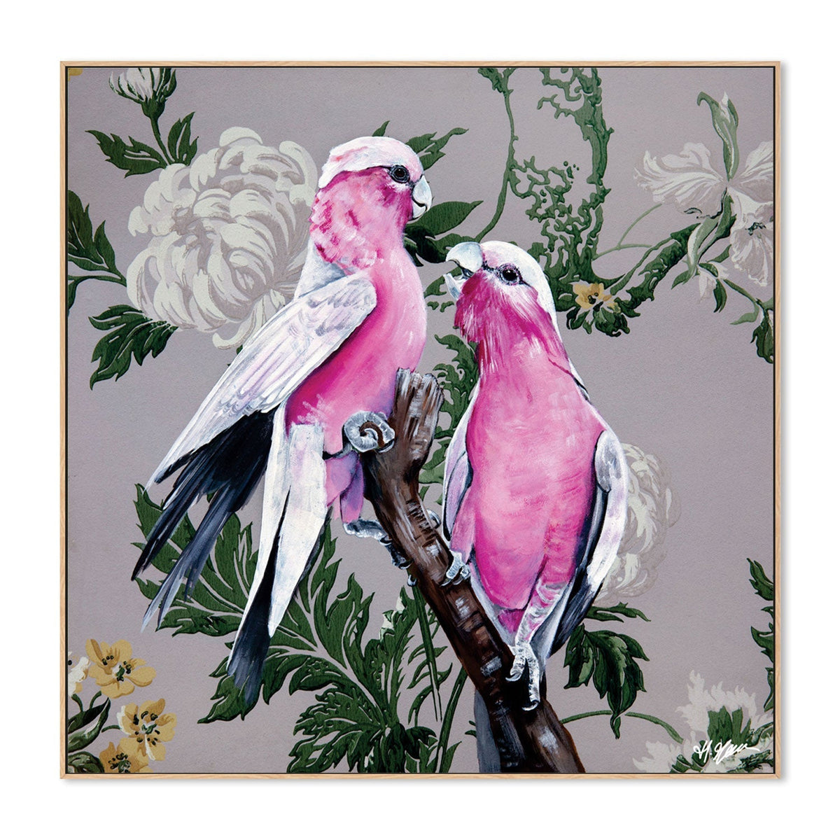 Grey Wallpaper Gallah