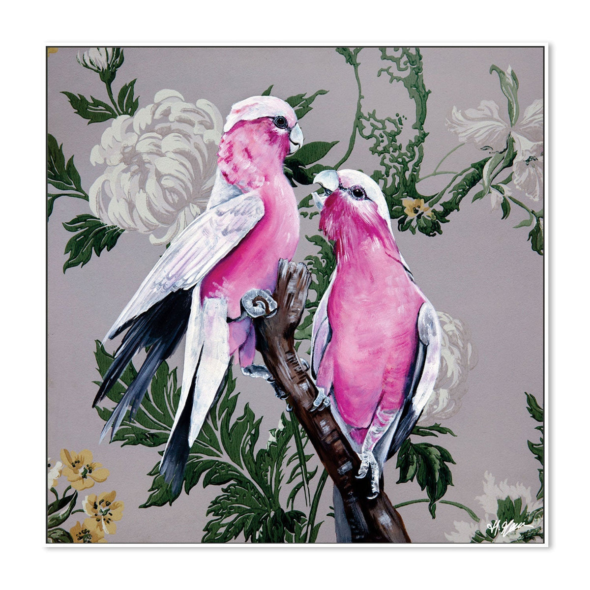 Grey Wallpaper Gallah