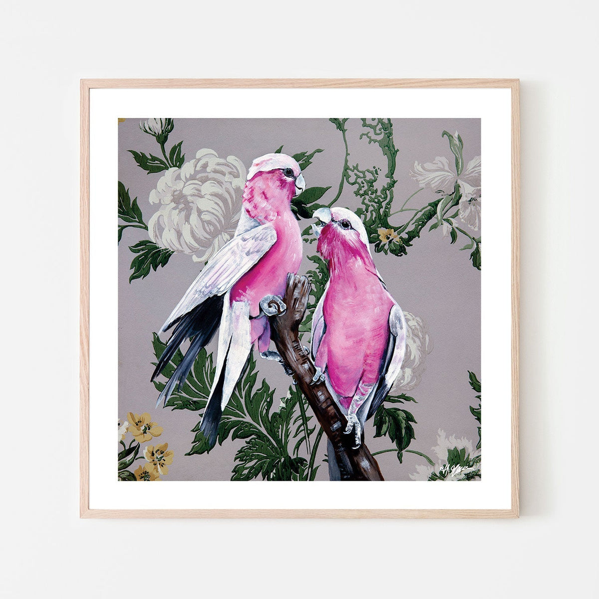 Grey Wallpaper Gallah