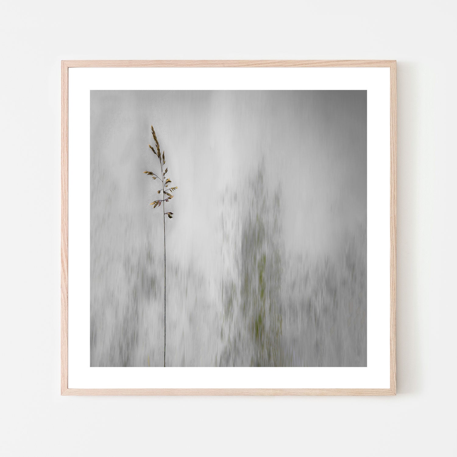 wall-art-print-canvas-poster-framed-Growing Tall , By Gilbert Claes-GIOIA-WALL-ART