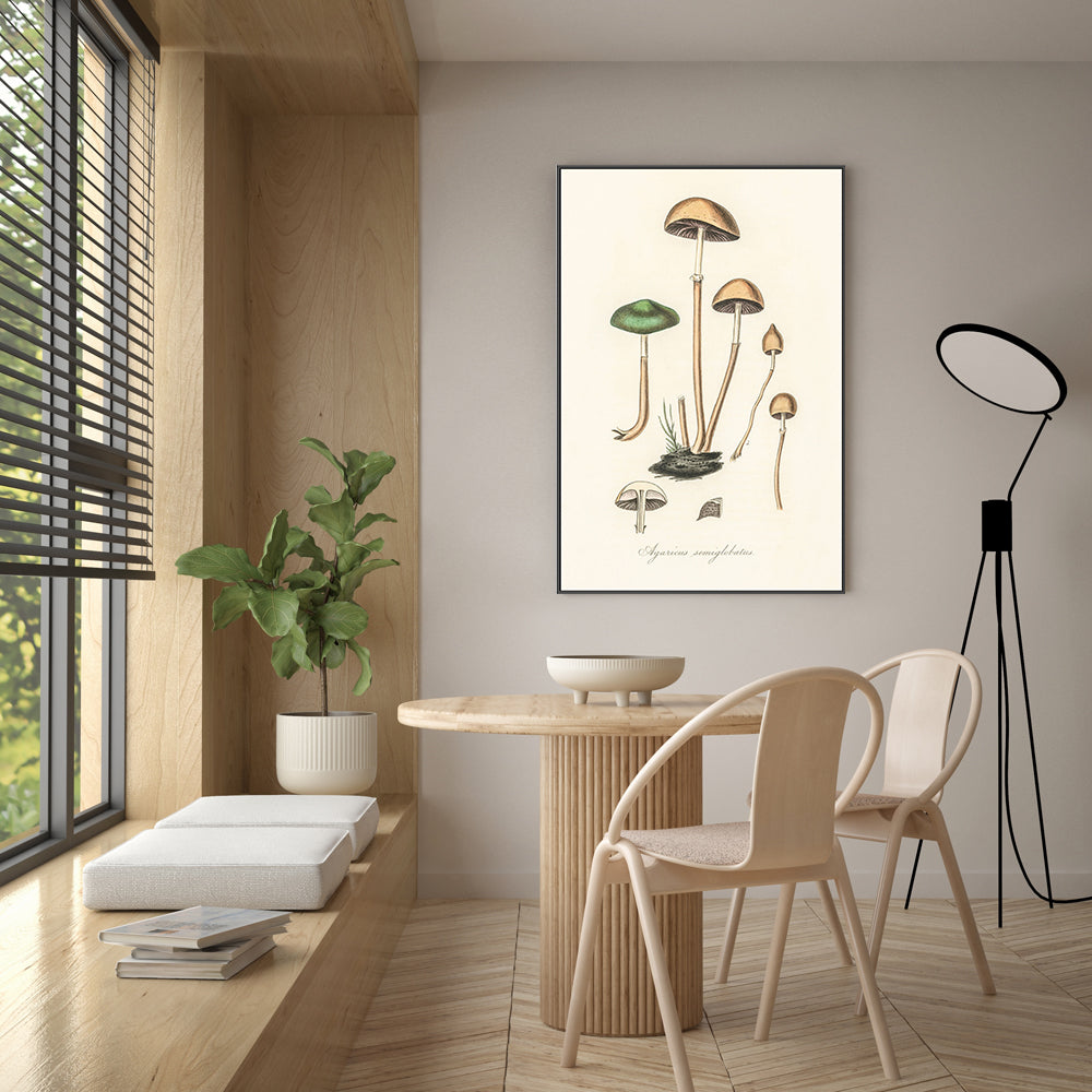 wall-art-print-canvas-poster-framed-Halfglobe Mushrooms-GIOIA-WALL-ART