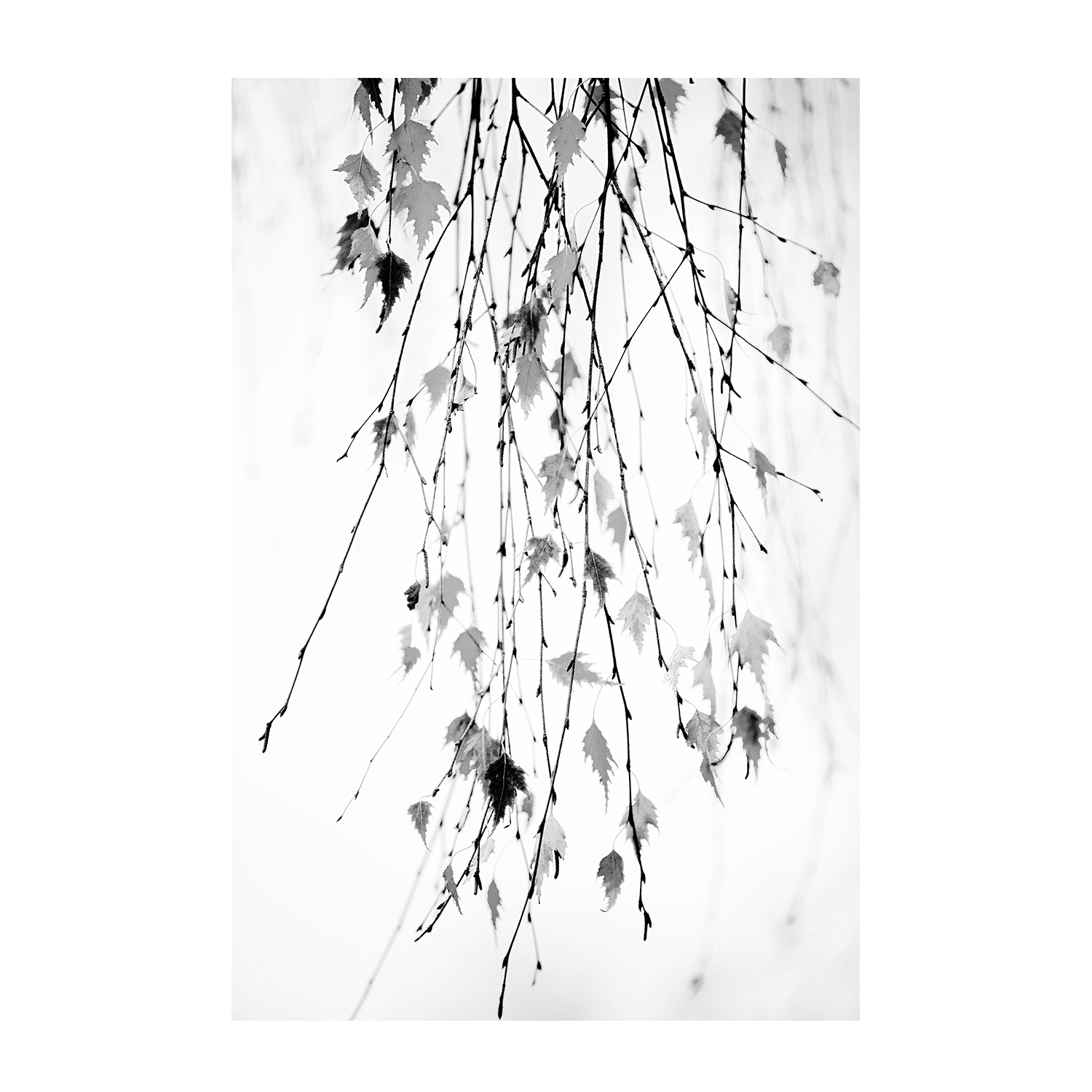 wall-art-print-canvas-poster-framed-Hanging-1