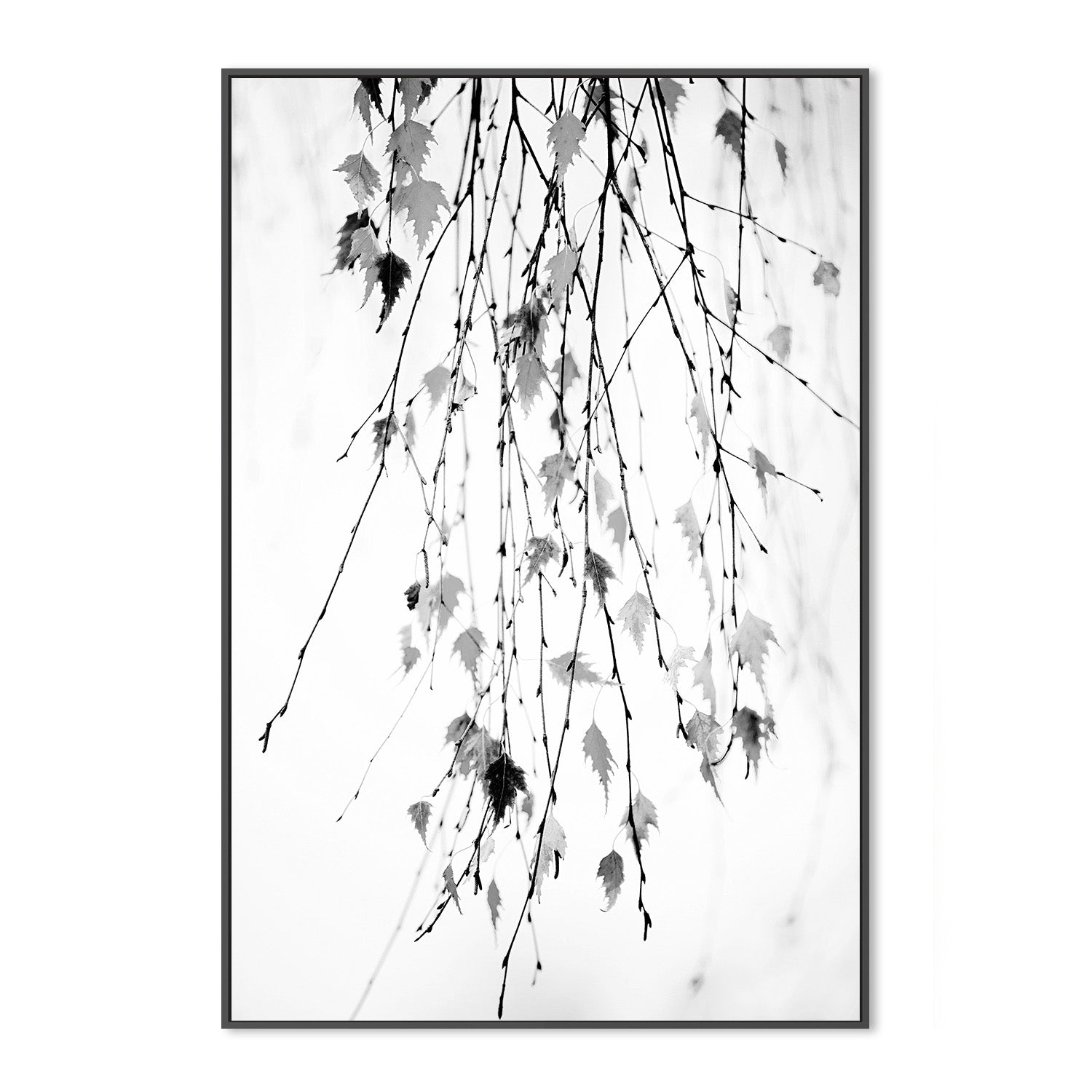 wall-art-print-canvas-poster-framed-Hanging-3