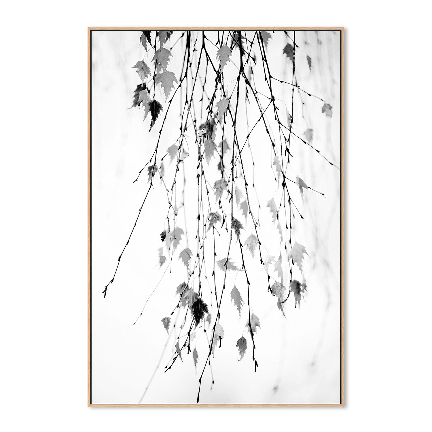 wall-art-print-canvas-poster-framed-Hanging-4
