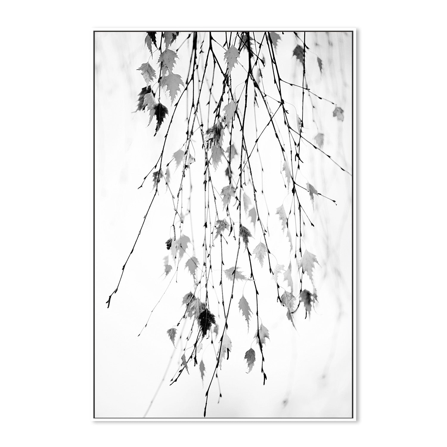 wall-art-print-canvas-poster-framed-Hanging-5