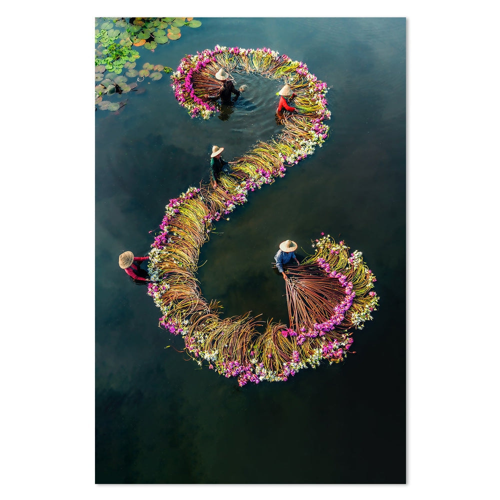 wall-art-print-canvas-poster-framed-Harvesting Water Lilies, By Nguyen Tan Tuan-by-Plus X Studio-Gioia Wall Art