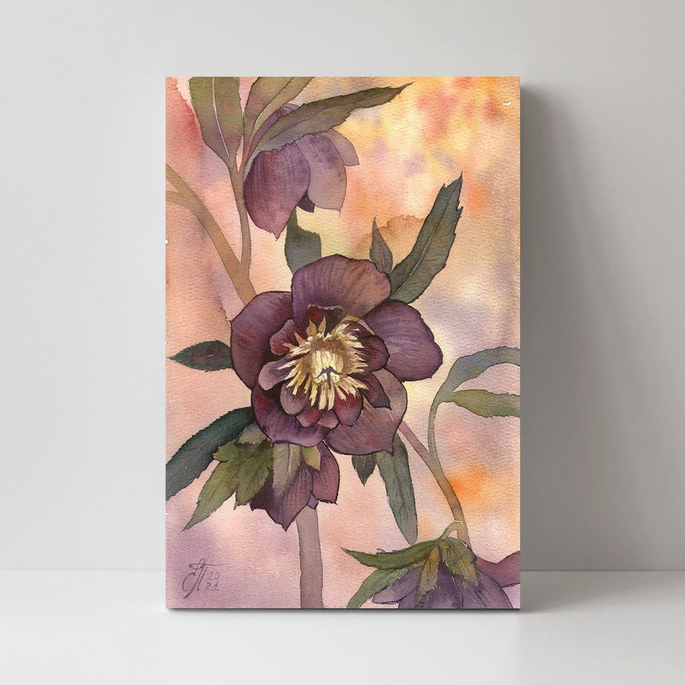 wall-art-print-canvas-poster-framed-Hellebore-by-Ekaterina Prisich-Gioia Wall Art