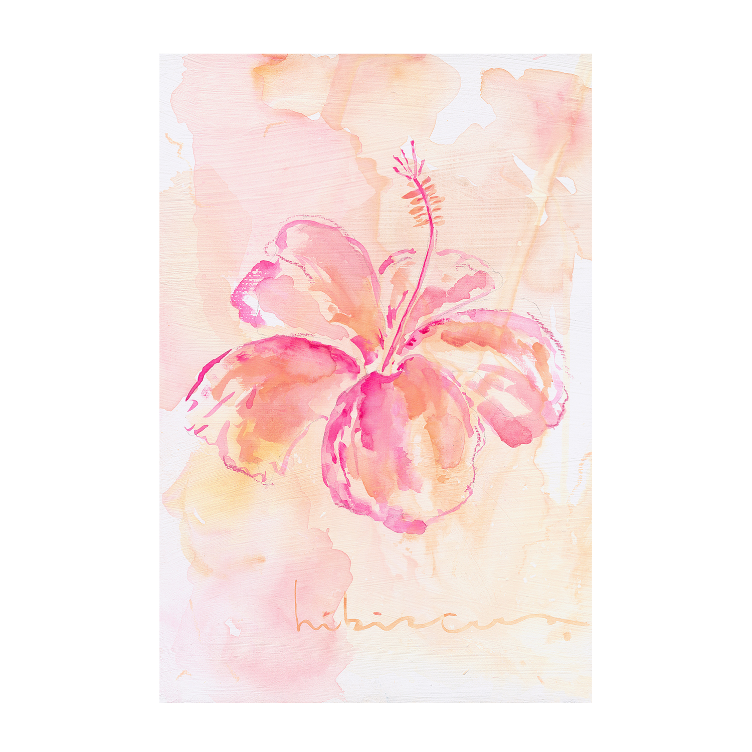 wall-art-print-canvas-poster-framed-Hibiscus , By Cass Deller-1