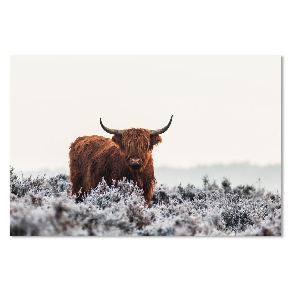wall-art-print-canvas-poster-framed-Highlander, By Jaap Van Dem Helm-by-Plus X Studio-Gioia Wall Art