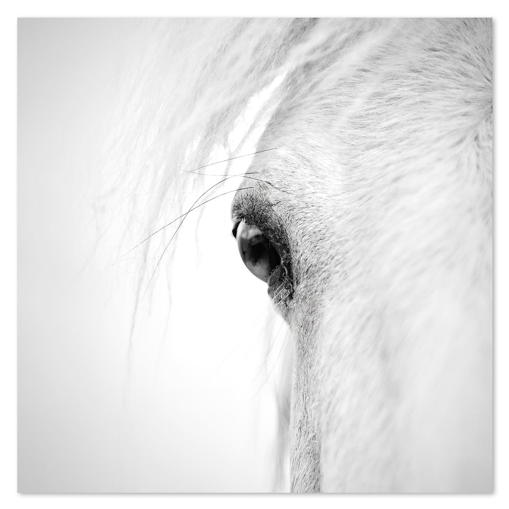 wall-art-print-canvas-poster-framed-Horse Eye, By Alex Zhao-by-Plus X Studio-Gioia Wall Art