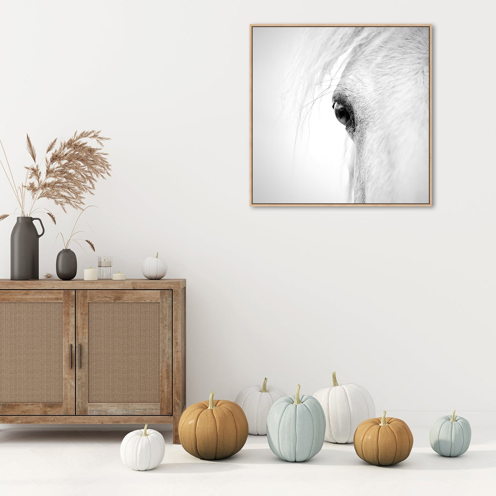 wall-art-print-canvas-poster-framed-Horse Eye, By Alex Zhao-by-Plus X Studio-Gioia Wall Art