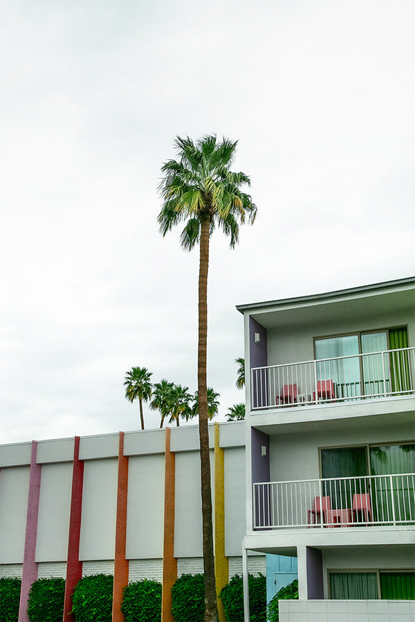 wall-art-print-canvas-poster-framed-Hotel Saguaro V1 , By Tricia Brennan-1