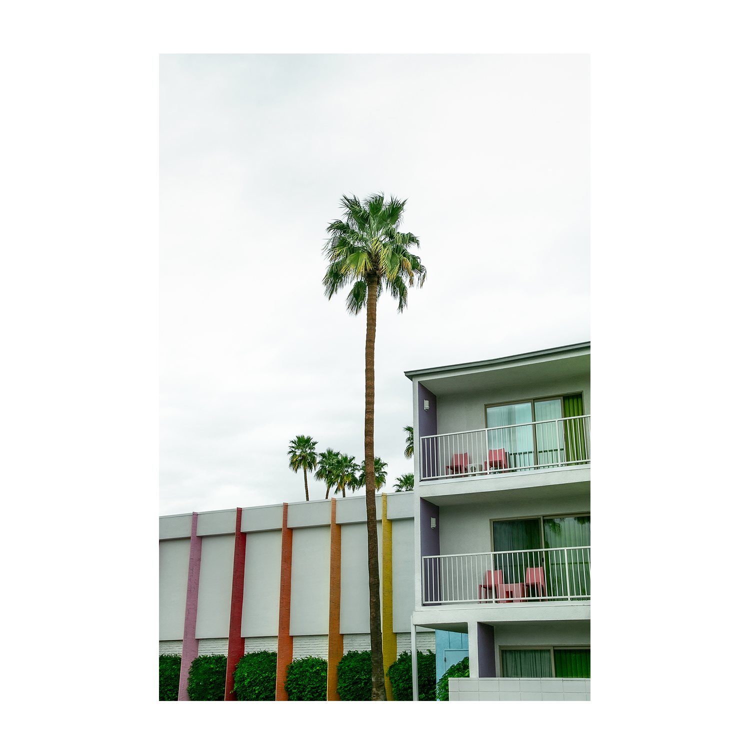 wall-art-print-canvas-poster-framed-Hotel Saguaro V1 , By Tricia Brennan-2