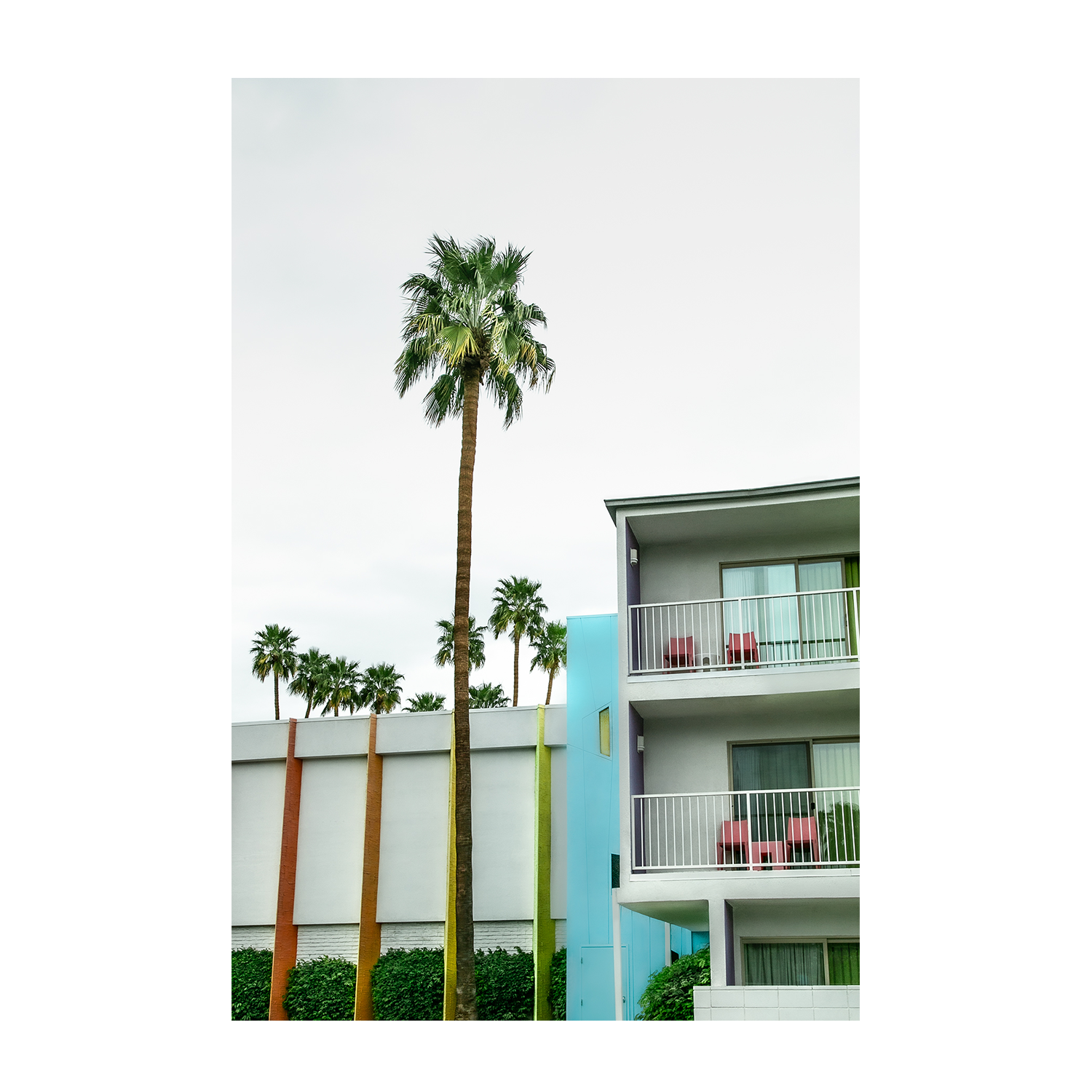wall-art-print-canvas-poster-framed-Hotel Saguaro V2 , By Tricia Brennan-2