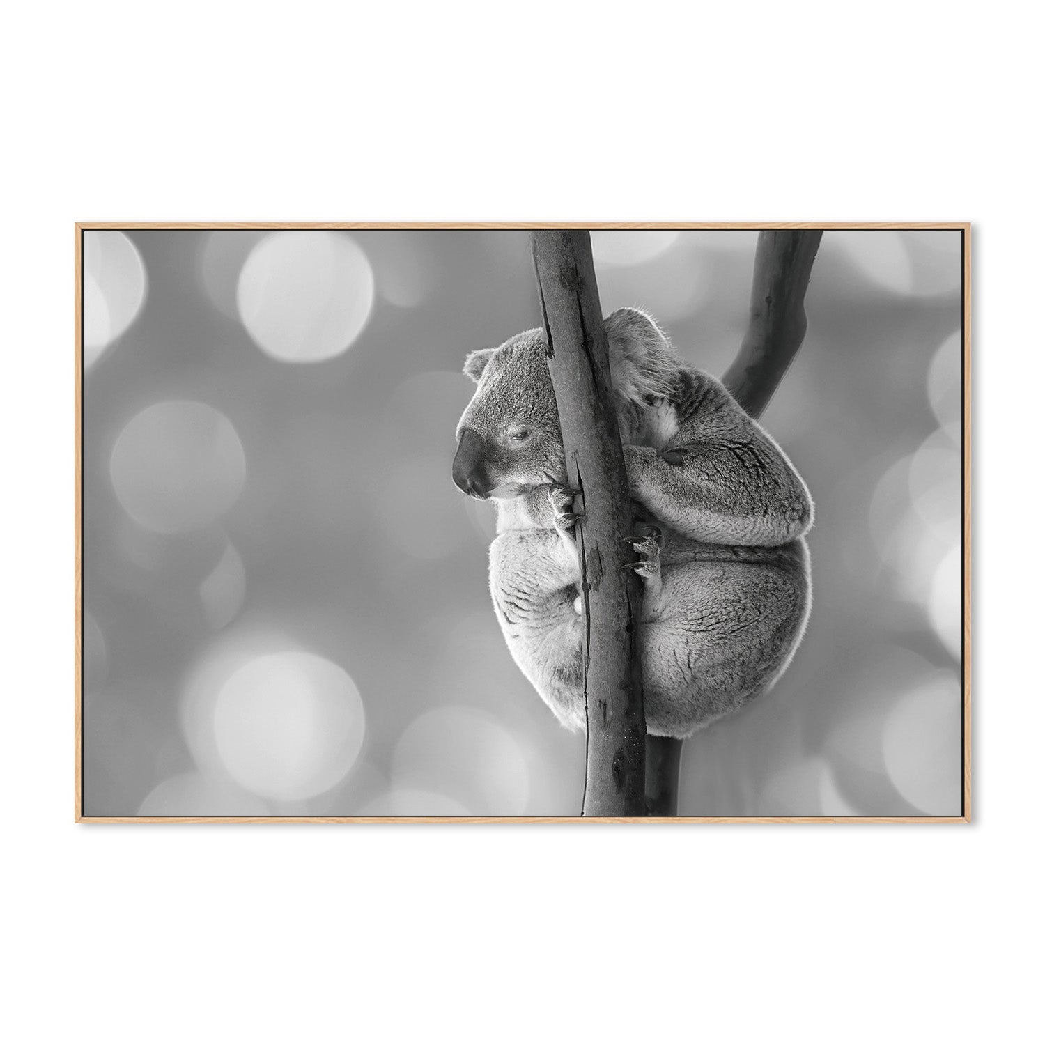 wall-art-print-canvas-poster-framed-Humphrey , By Belinda Gerace-4