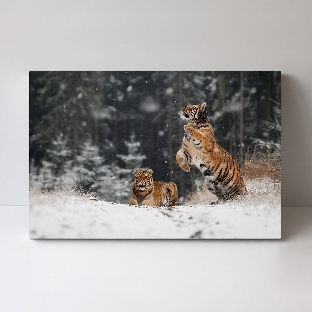 wall-art-print-canvas-poster-framed-It Is Snowing, By Michaela Firešová-by-Plus X Studio-Gioia Wall Art