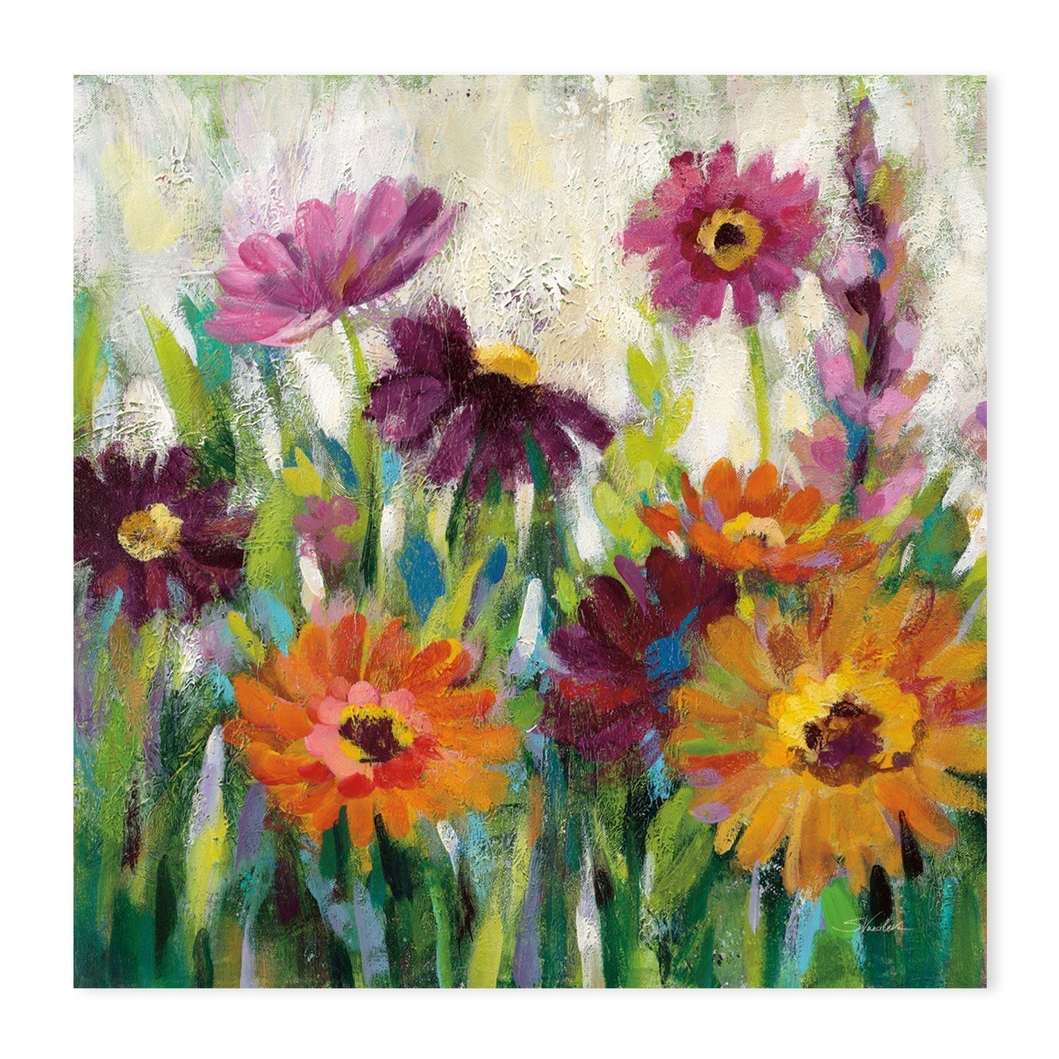 wall-art-print-canvas-poster-framed-Jewel Daisy Gerbera, Style B-by-Silvia Vassileva-Gioia Wall Art