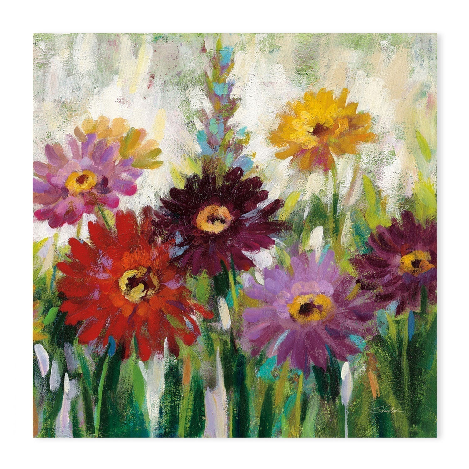 wall-art-print-canvas-poster-framed-Jewel Daisy Gerbera, Style C-by-Silvia Vassileva-Gioia Wall Art